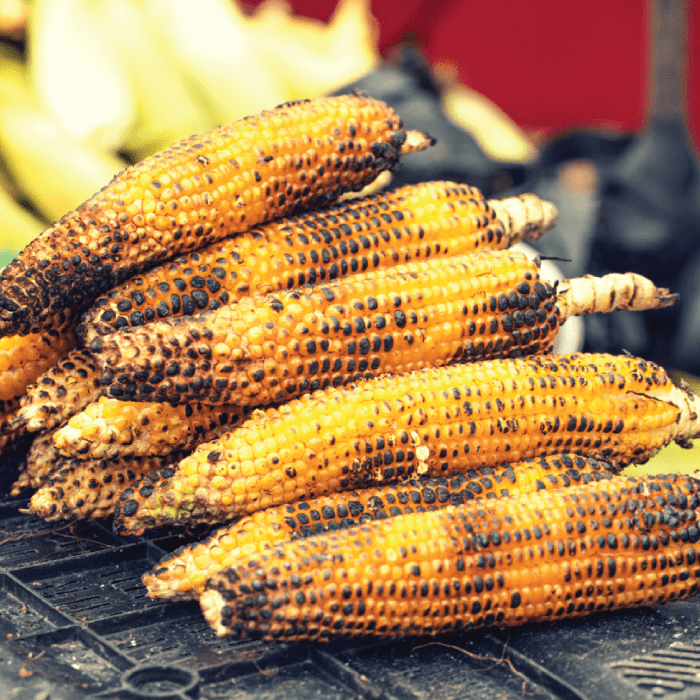 Maggi Stalls and bhutta